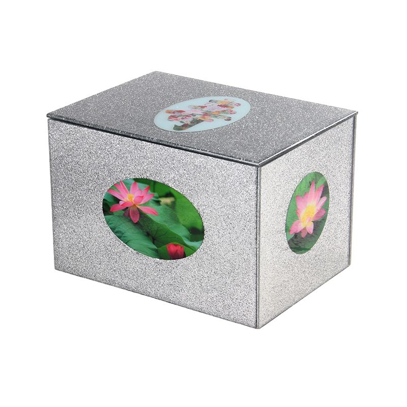 product-800-800